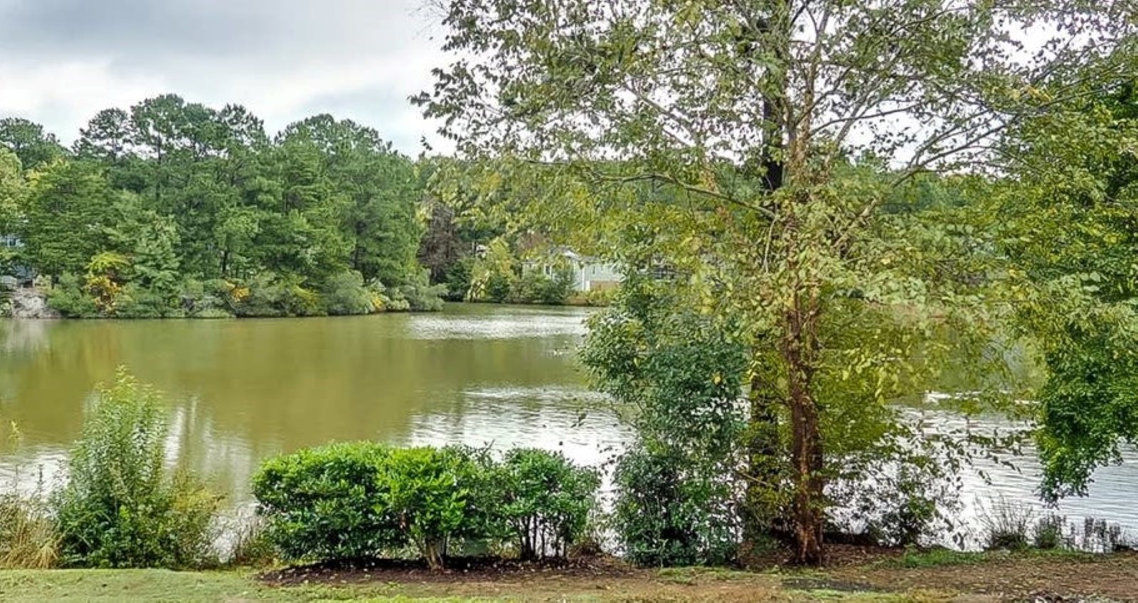 View of Colony Lake in Chapel Hill NC